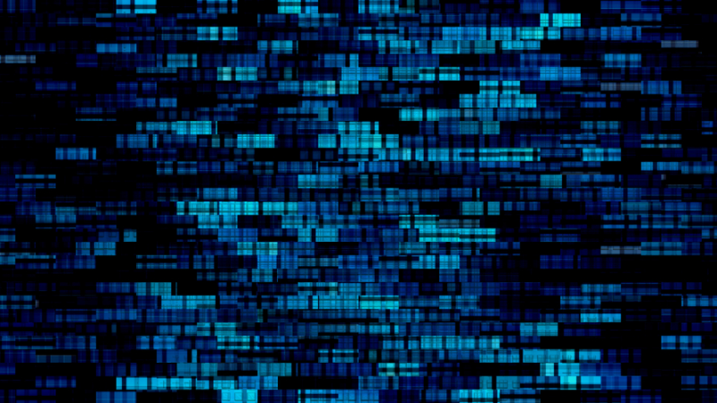 Die Basis für erfolgreiche Digitalisierung